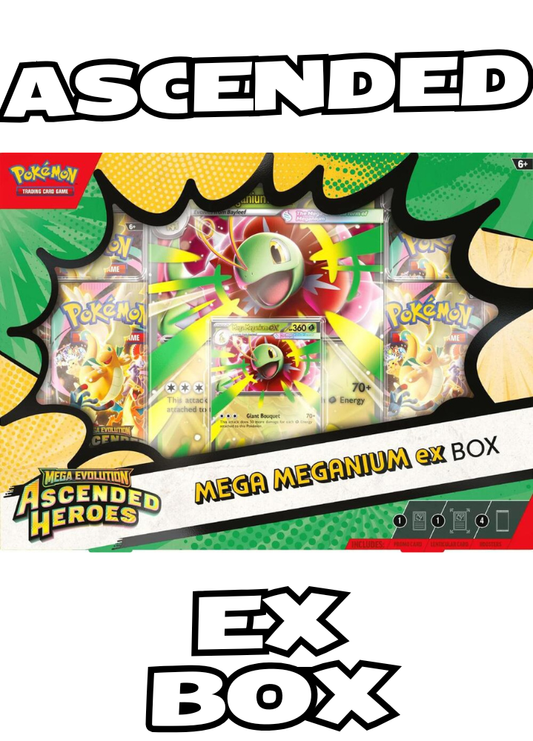 TPO Livestream: May 7th Ascended Heroes ex Box!